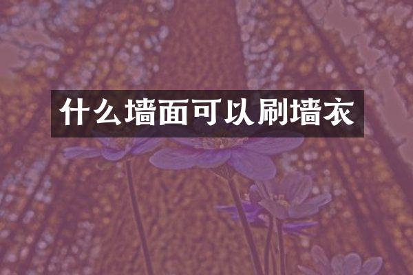什么墙面可以刷墙衣