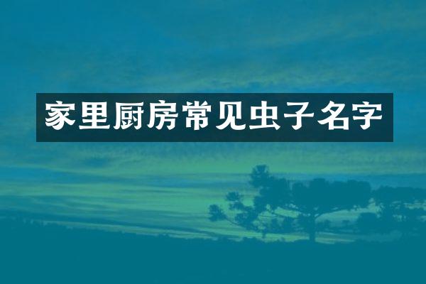 家里厨房常见虫子名字
