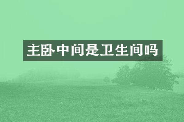 主卧中间是卫生间吗