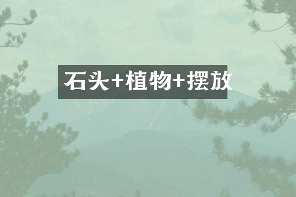 石头+植物+摆放