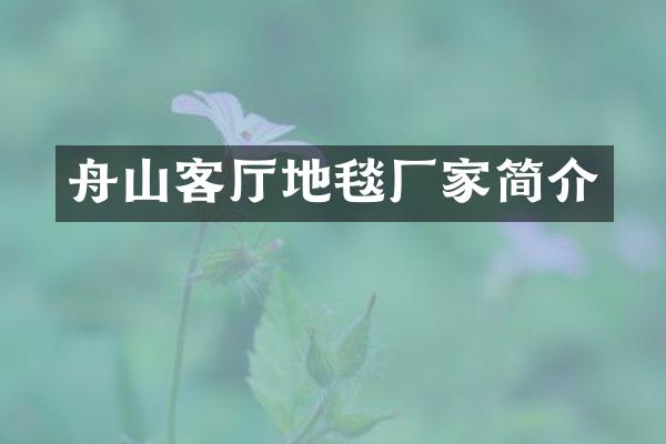 舟山客厅地毯厂家简介