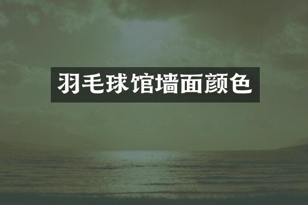 羽毛球馆墙面颜色