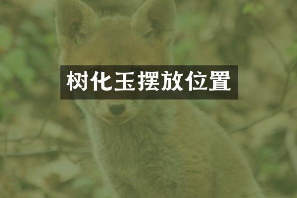 树化玉摆放位置