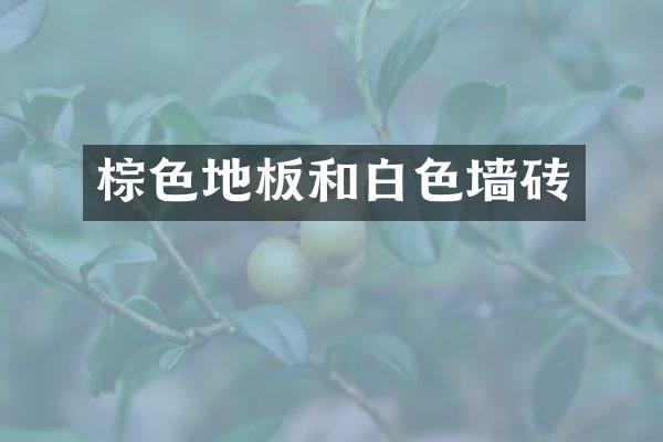 棕色地板和白色墙砖