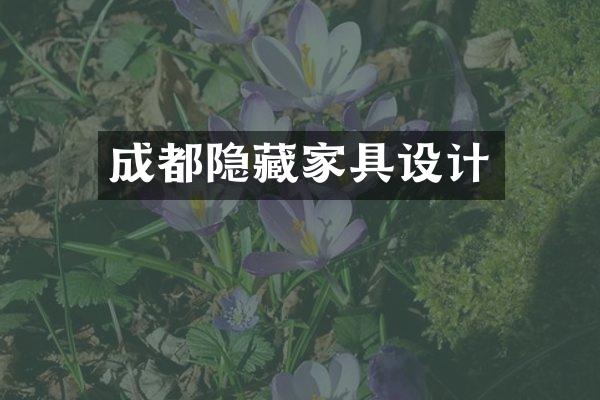 成都隐藏家具设计