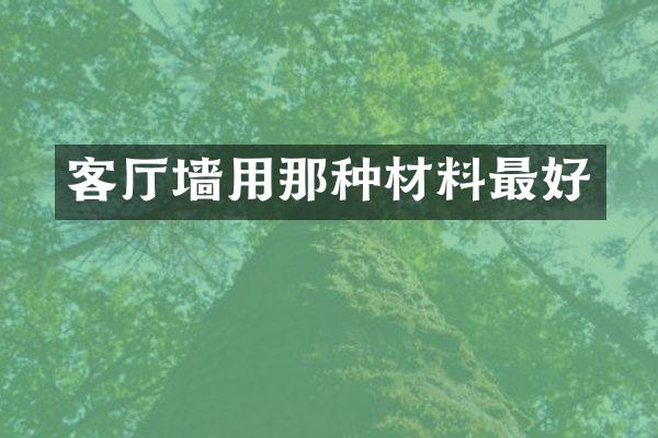 客厅墙用那种材料最好
