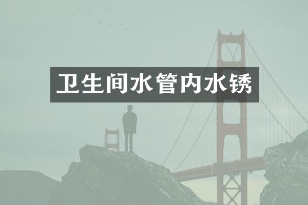 卫生间水管内水锈