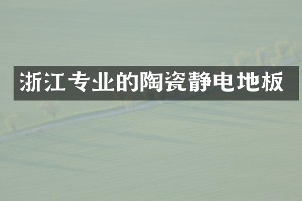 浙江专业的陶瓷静电地板