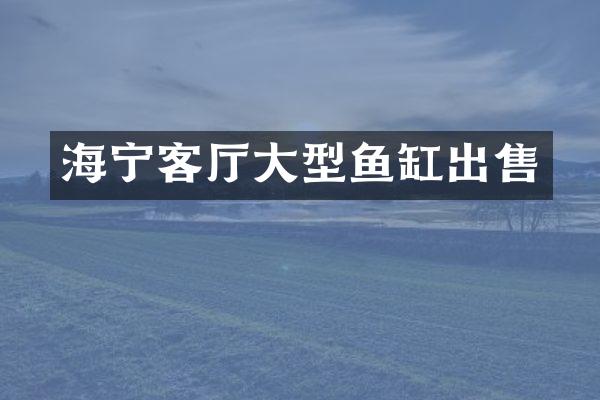 海宁客厅大型鱼缸出售