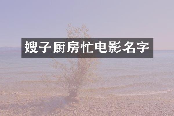 嫂子厨房忙电影名字