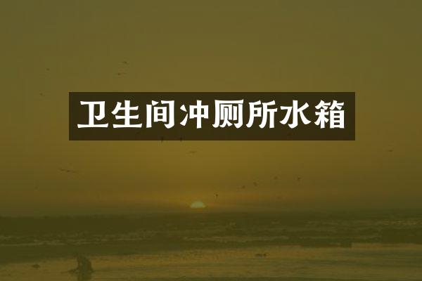 卫生间冲厕所水箱