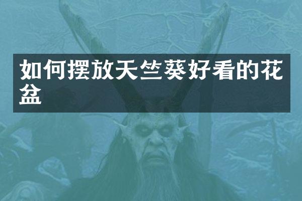 如何摆放天竺葵好看的花盆