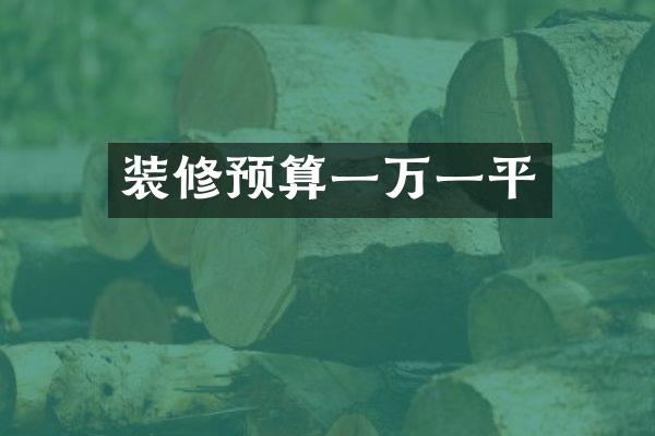 装修预算一万一平