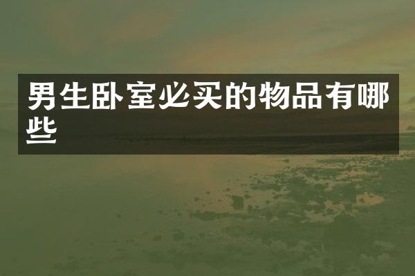 男生卧室必买的物品有哪些