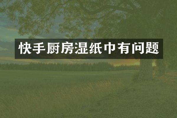 快手厨房湿纸巾有问题