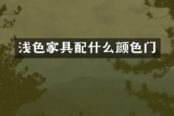 浅色家具颜色门