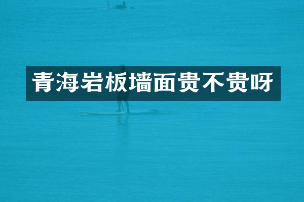 青海岩板墙面贵不贵呀