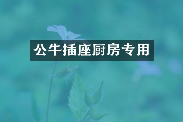 公牛插座厨房专用
