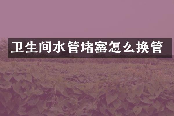 卫生间水管堵塞怎么换管
