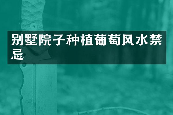 别墅院子种植葡萄风水禁忌