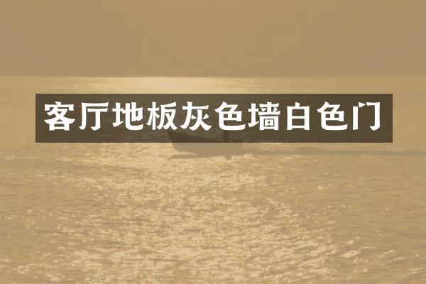客厅地板灰色墙白色门