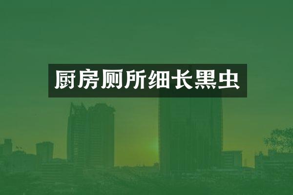 厨房厕所细长黑虫