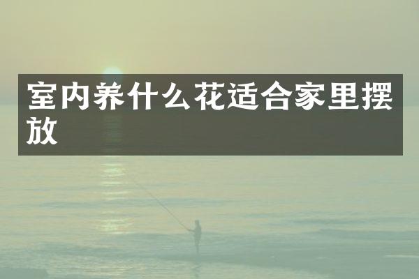室内养什么花适合家里摆放