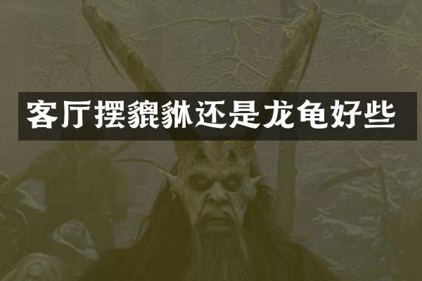 客厅摆貔貅还是龙龟好些