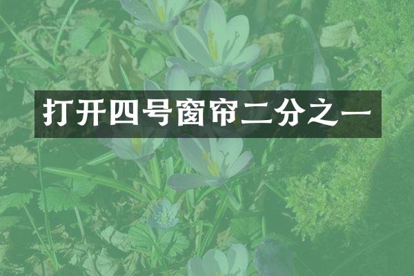 打开四号窗帘二分之一