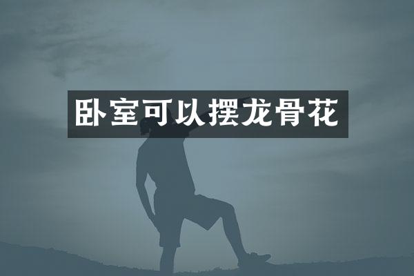 卧室可以摆龙骨花