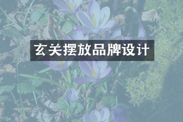 玄关摆放品牌设计