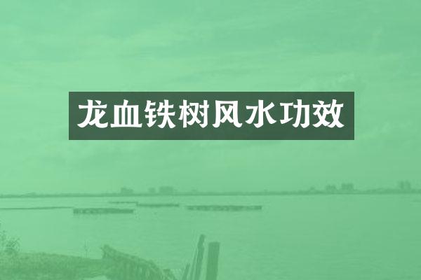 龙血铁树风水功效