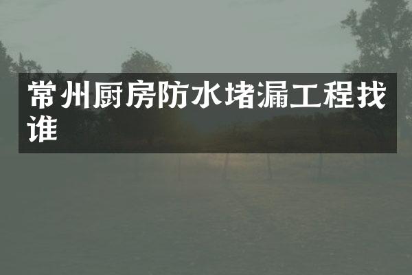 常州厨房防水堵漏工程找谁
