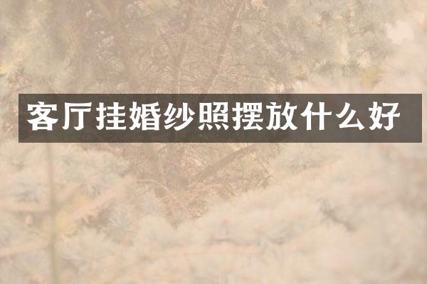 客厅挂婚纱照摆放什么好