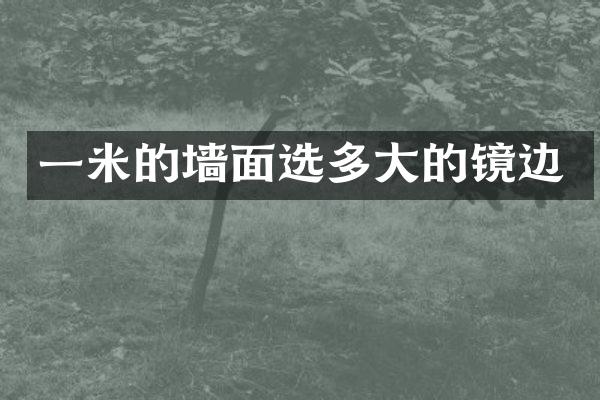 一米的墙面选多大的镜边