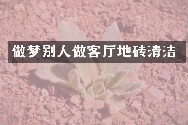 做梦别人做客厅地砖清洁
