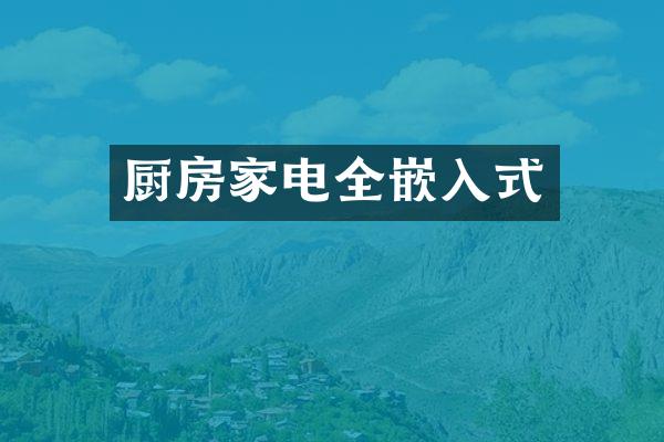 厨房家电全嵌入式