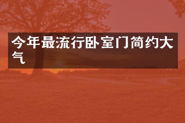 今年最流行卧室门简约大气