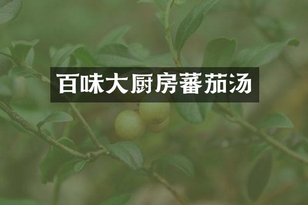 百味大厨房蕃茄汤