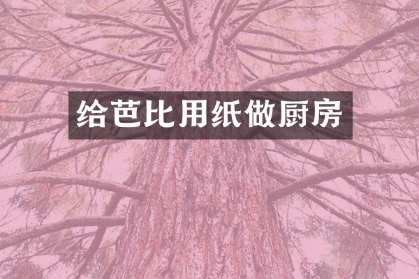 给芭比用纸做厨房