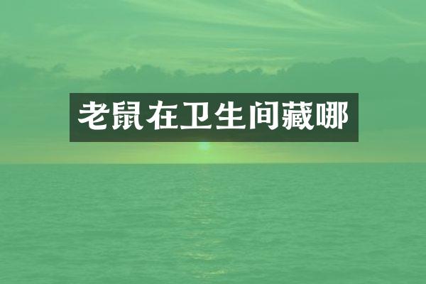 老鼠在卫生间藏哪
