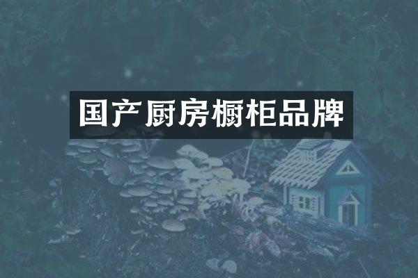 国产厨房橱柜品牌