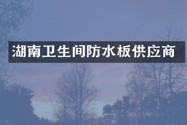 湖南卫生间防水板供应商