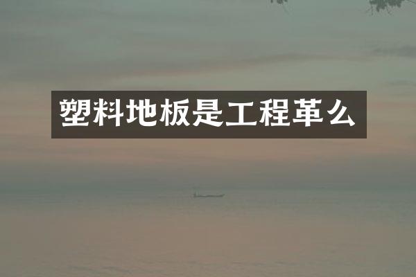 塑料地板是工程革么