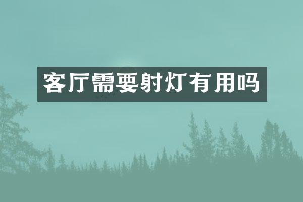 客厅需要射灯有用吗