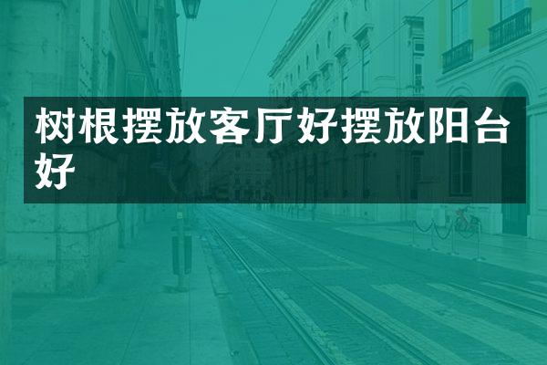 树根摆放客厅好摆放阳台好