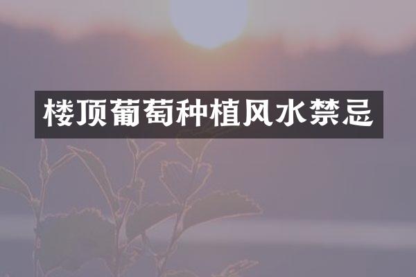楼顶葡萄种植风水禁忌