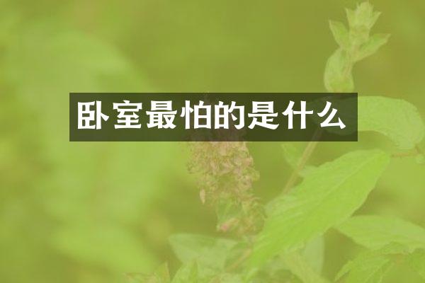 卧室最怕的是什么