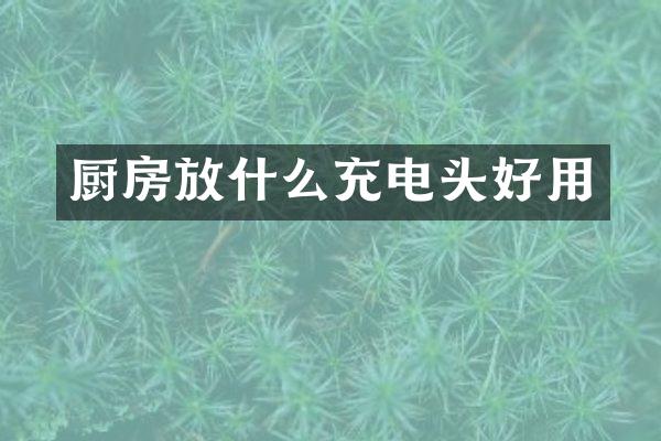 厨房放什么充电头好用