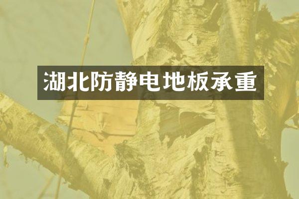 湖北防静电地板承重